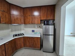 The Oxley (D9), Apartment #507767661